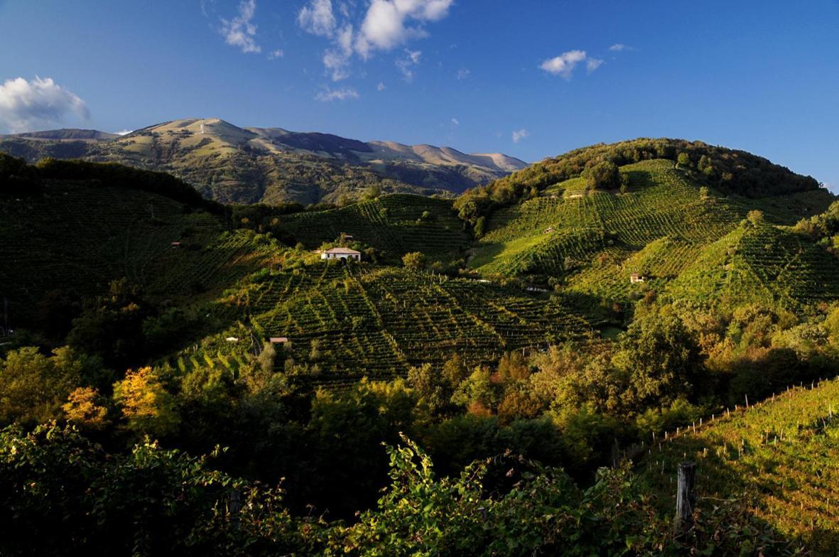 I Giardini Segreti Di Marcello Marinelli * Cison di Valmarino